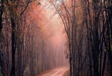 开云体育官网：[NBA]瓦格纳绝杀 魔术客场战胜.