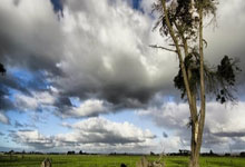 罗体：尤文为坎比亚索标价6000万欧元，多支球队有意后者.