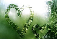 开云体育官网:篮球——CBA常规赛:山东高速胜深圳马可波罗.